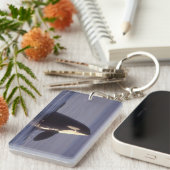 スパイホッピングオルカキラークジラ（オルカオルシヌス）付近 キーホルダー (正面右)