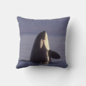 スパイホッピングオルカキラークジラ(オルカオルシヌス)付近 クッション (裏面)