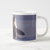 スパイホッピングオルカキラークジラ(オルカオルシヌス)付近 ジャンボコーヒーマグカップ (右)