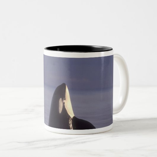 スパイホッピングオルカキラークジラ(オルカオルシヌス)付近 ツートーンマグカップ (正面右)