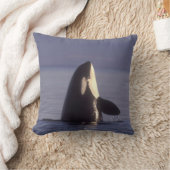 スパイホップするシャチ（Orcinus orca）付近 クッション (ブランケット)