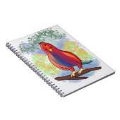 スパイラルノートにペポオオロウ漫画 ノートブック (右側)