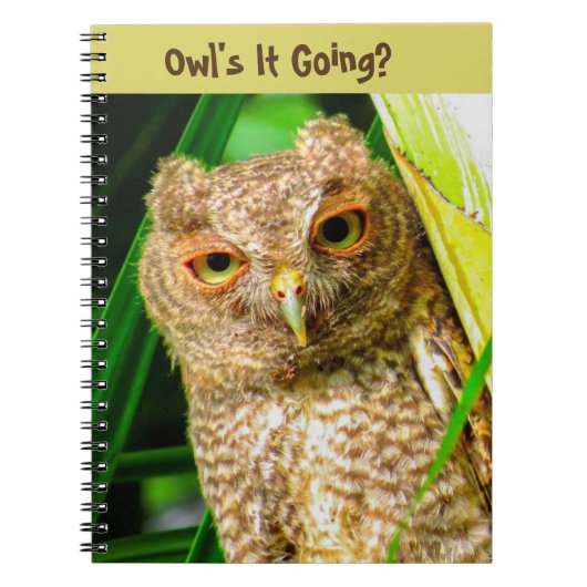 スパイラルノートフクロウが動く ノートブック (正面)