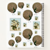 スパイラルノートブックピーコック ノートブック (裏面)