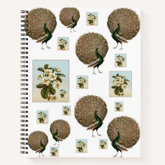 スパイラルノートブックピーコック ノートブック (正面)