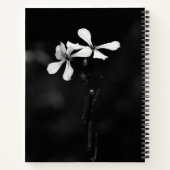 スパイラルノートブック ノートブック (裏面)