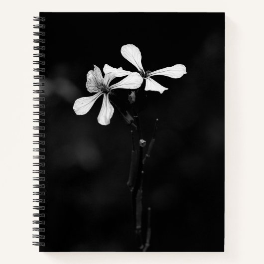 スパイラルノートブック ノートブック (正面)