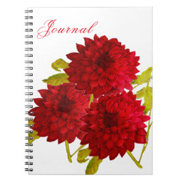 スパイラルノートブック ノートブック