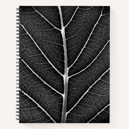 スパイラルノートブック ノートブック (正面)