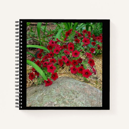 スパイラルノートブック ノートブック (正面)