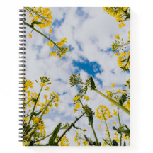 スパイラルノートブック