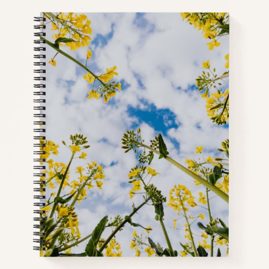 スパイラルノートブック ノートブック (正面)