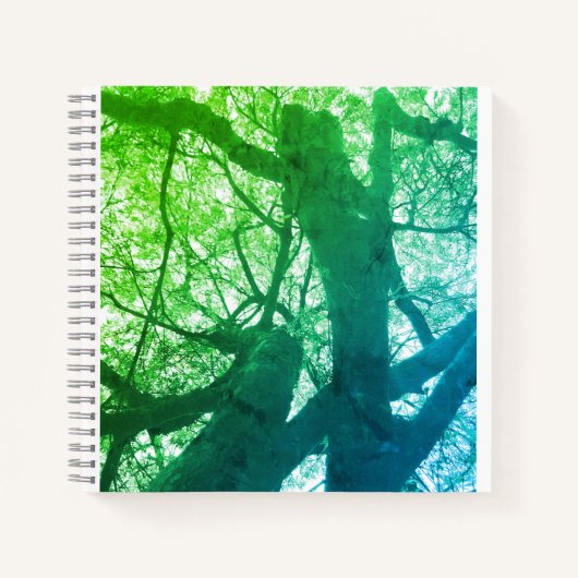 スパイラルノートブック ノートブック (正面)