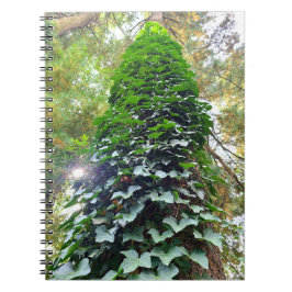 スパイラルノートブック ノートブック