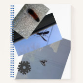スパイラルノート/虫/大都市デザインノート ノートブック (正面)