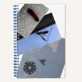 スパイラルノート/虫/大都市デザインノート ノートブック (正面)