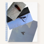 スパイラルノート/虫/大都市デザイン ノートブック (正面)