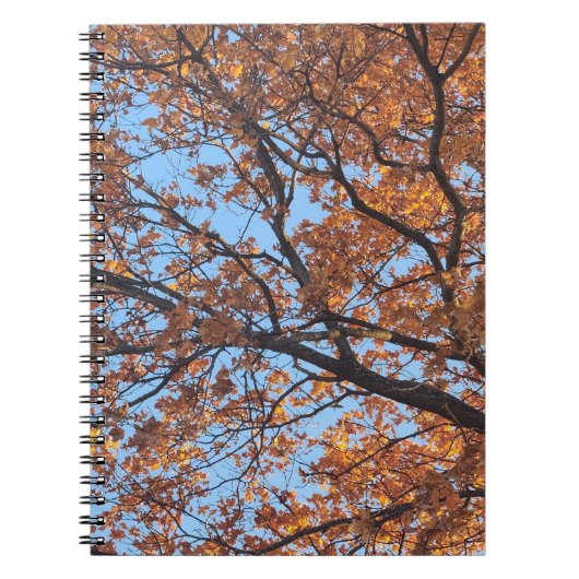 スパイラルフォトノートブック ノートブック (正面)