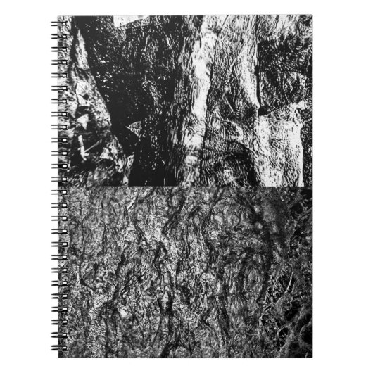 スパイラルフォトノートブック ノートブック (正面)