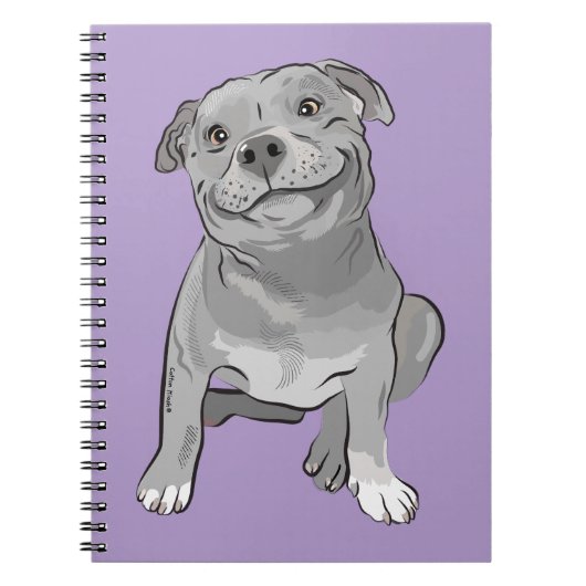 スパイラルフォトノートブック ノートブック (正面)