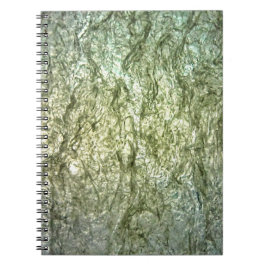 スパイラルフォトノートブック ノートブック