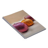 スパイラルフォトノートブック ノートブック (右側)