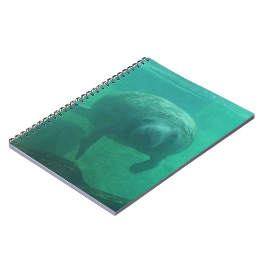 スパイラル写真ノートブックの管理 ノートブック (左側)