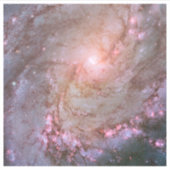 スパイラル銀河系M83、星の形成で燃え上がる。 シール (正面)