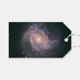 スパイラル銀河系M83 (NASA) ギフトタグ