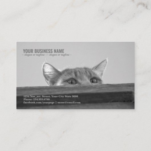 スパイ·キャット 名刺 (裏面)