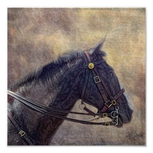 スパイ フォトプリント            (正面)