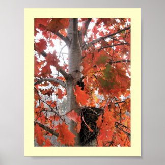 スパイ… ポスター