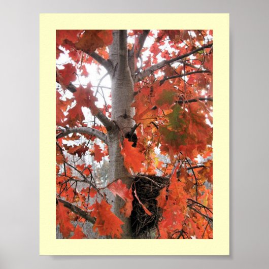 スパイ… ポスター (正面)