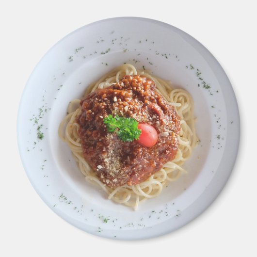 スパゲッティディナープレート冷凍機磁石 マグネット (正面)