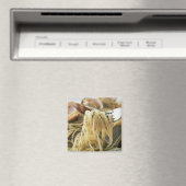 スパゲッティボンゴレビアンコ マグネット (インサイチュ (食洗機))