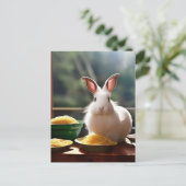 スパゲッティ付きアンゴラビット ポストカード (スタンド正面)