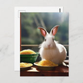 スパゲッティ付きアンゴラビット ポストカード (正面/裏面)