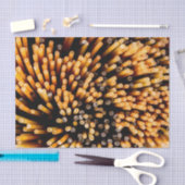 スパゲッティ 薄葉紙 (クラフト)