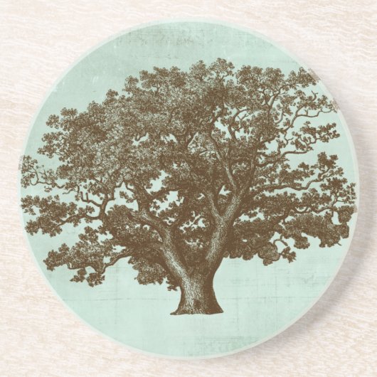 スパツリーIV コースター (正面)