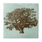 スパツリーIV タイル (正面)