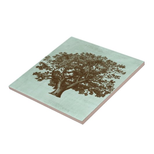 スパツリーIV タイル (側面)