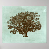 スパツリーIV ポスター (正面)