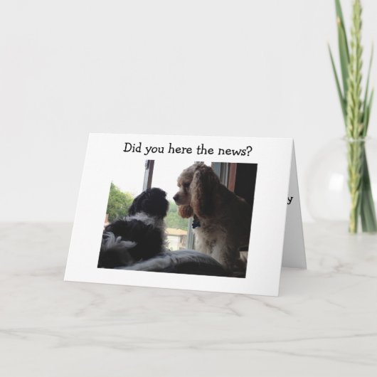 スパニエル犬とハバナ人がハッピーバースデーを カード (正面)