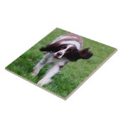 スパニエル犬のランニングの写真が付いているセラミックタイル タイル (側面)