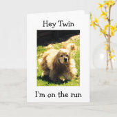 スパニエル犬オンザ走ハッピーバースデーツイン カード (黄色い花)