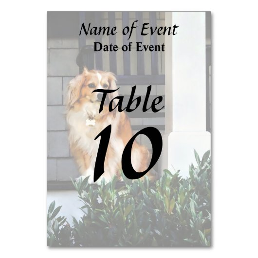 スパニエル犬オンポーチ テーブルナンバー (正面)