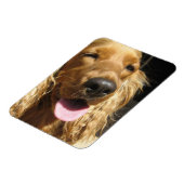 スパニエル犬ドッグプレミアム磁石 マグネット (左側)