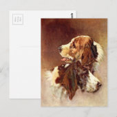 スパニエル犬ドッグヴィンテージアートデザイン ポストカード (正面/裏面)