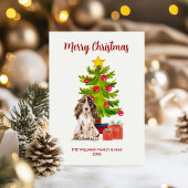 スパニエル犬家族のクリスマス シーズンカード