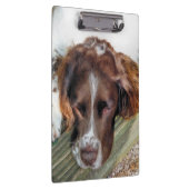 スパニエル犬犬 クリップボード (右)